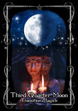 Witches' Moon Magick Oracle Cards: 48 full colour cards & 110pp guidebook