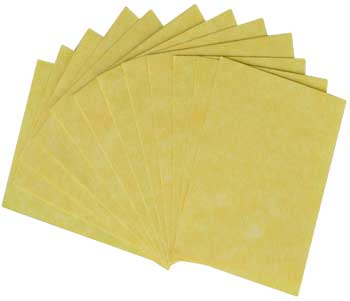 Light Parchment 4 Pack (3" x 4")