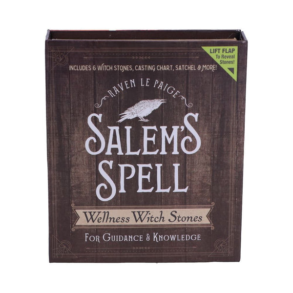 Salem's Spell Kit Nemesis Now Spirit Earth