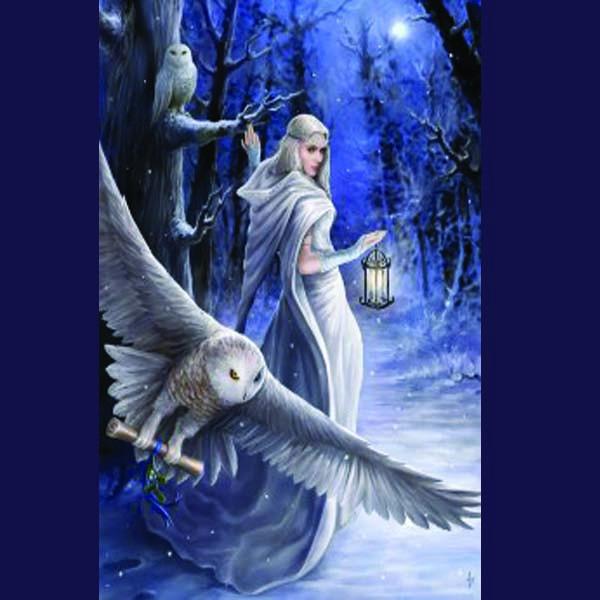 Spirit Earth Midnight Messenger Greeting Card