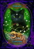 Spirit Earth Witches' Wisdom Oracle Cards